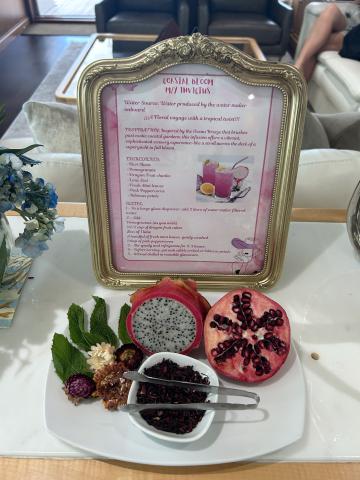 “Coastal Bloom” from MY Invictus: kiwi slices, pomegranate, dragon fruit chunks, lime zest, fresh mint and pink peppercorns and dried hibiscus petals.
