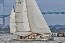Zingara photo by Stephen R. Cloutier